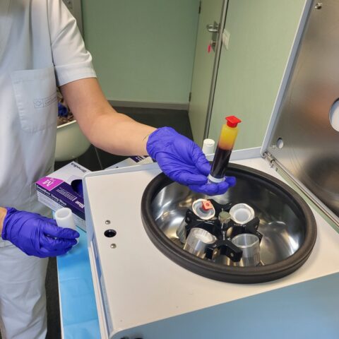 medicina regenerativa articular (2)